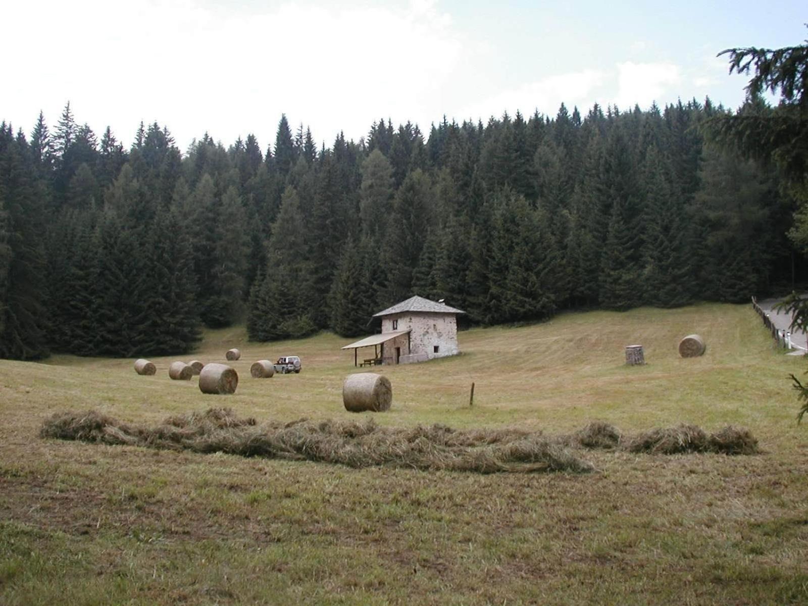 Locanda Alpina Brez Exteriör bild